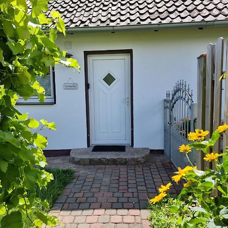 Feel-Good Apartment Close To The City Reppenstedt Exterior photo